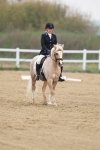 SBM_006313