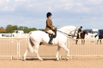 Class 212 - Ridden Hunter  - Large portfolio