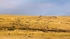 IMG_1227 Maasai Mara