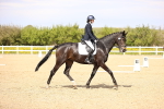 SBM_008377