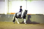 SBM_000235