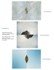 Floating rocks - grouping