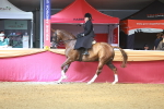 SBM_12558