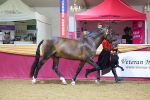 SBM_20791