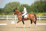 SBM_007975