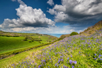 z3055 April Showers, Ventnor Down