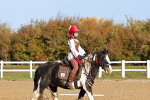 SBM_000183