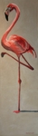 Pink Flamingo