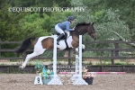 BPP_1593