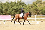 SBM_003769