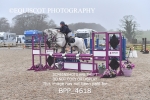 BPP_4618