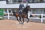 BPP_9805