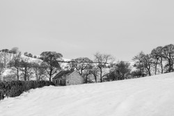 Corner barn