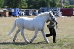 WJ6_4542