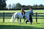 SBM_35366