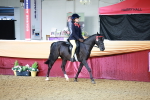 SBM_10640