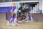 SBM_000352