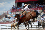 3HRodeo7-20-25_CFD_02592_