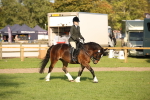 SBM_54292