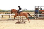 SBM_003988