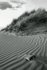 Dunescape 02