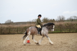 SBM_007945