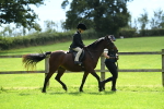 SBM_42535