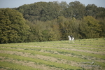 PtP 250921 0709