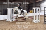 BPP_3602