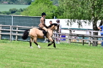 Flamstead Ring - 23-5-26 portfolio