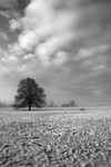 Bristol Landscape_Cold snap Clifton Downs _B0169_Ian Wade