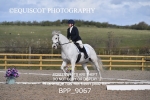 BPP_9067