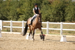 SBM_015793