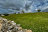 Yorkshire3