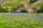 Bluebell Farm
