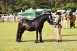 SBM_00848