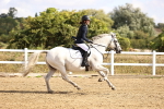 SBM_006392