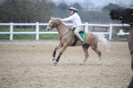 SBM_004395