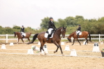 SBM_004553