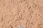 260425-114727-14863