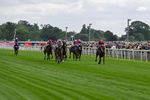 130626-Race 1-Dunkeld Dreamer-0505