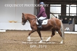 BPP_3171