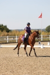 SBM_006397