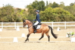 SBM_009894