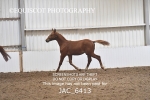 JAC_6413