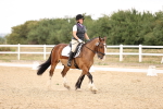 SBM_008658