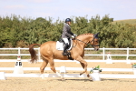 SBM_015088