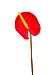 9SKJ2661
