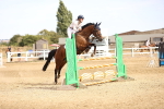 SBM_001637