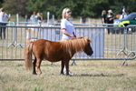 WJ6_9125
